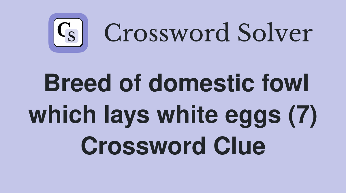 Breed of domestic fowl which lays white eggs (7) Crossword Clue